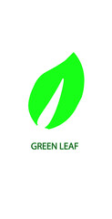 A vibrant green leaf with a central vein on a clean white background for eco friendly concepts design
