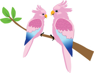 cute parrot bird illustrations print vector art