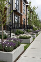 Obraz premium Modern townhouse row with landscaped front gardens and concrete planters filled with lavender and white flowers along a clean urban sidewalk, representing architecture, sustainability, and suburban li