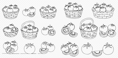 Collection of hand-drawn line art illustrations featuring fresh tomatoes, including whole tomatoes, sliced tomatoes, and tomatoes in baskets.