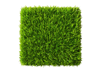 Green square of grass, isolated on black