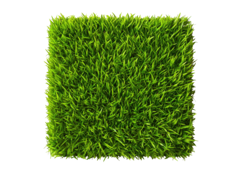 Green square of grass, isolated on black