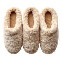 Fuzzy Slippers png 