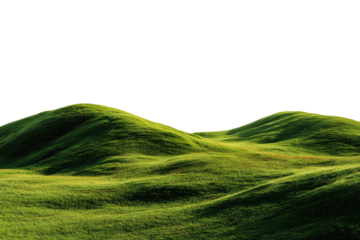 Green, grassy hills under a dark, featureless sky