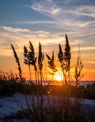 Sunset over beach grasses