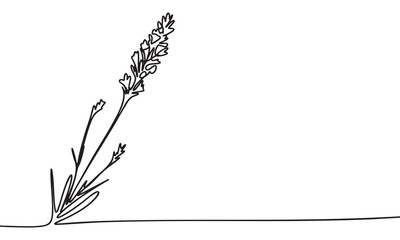 Minimalist Lavender Line Art