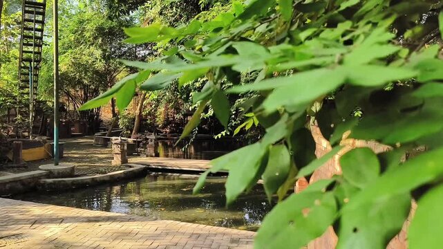Tranquil stone pool surrounded by brick walls and lush green trees reflecting on clear water in peaceful sunlight.