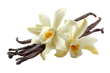 Vanilla pods and flowers on black background
