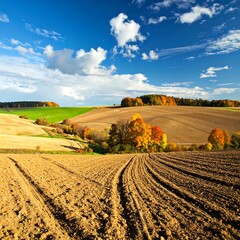 Fototapeta premium Panoramic autumn landscape featuring fields, colorful trees, and a vibrant sky