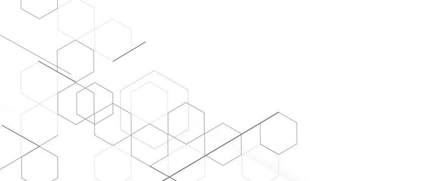 Modern white background line hexagon elements abstract. Concept engineer, medical, technology, science, data security.
