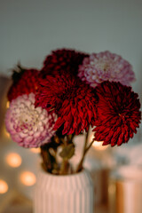 Closeup of burgundy dahlias in vase, elegant floral still life with soft light