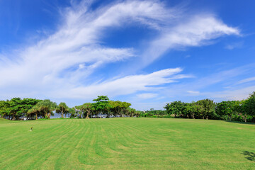 Large, open field with a clear blue sky and a few trees