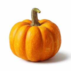 Obraz premium Isolated single orange pumpkin on pure white background