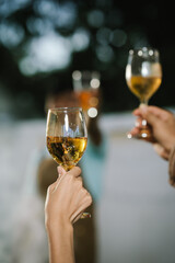 Close-up of friends clinking glasses of beer and wine during an outdoor barbecue party, celebrating and enjoying good times together.
