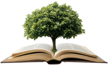 Lush green tree emerges from the open pages of a book, symbolizing the connection between knowledge and nature in an inspiring setting