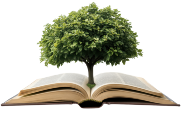 Lush green tree emerges from the open pages of a book, symbolizing the connection between knowledge and nature in an inspiring setting