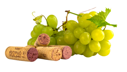 Elegant green grapes with vine leaves and wine corks isolated on transparent background