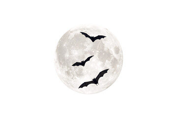 Black bat silhouettes against bright realistic moon showing lunar surface details and atmospheric glow effect, isolated on a transparent background