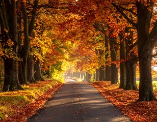 Road tunnel through rows of vibrant autumn trees under warm, sunny light