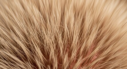 Fototapeta premium Close-up view of soft, blonde, blonde, blonde hair or fur with subtle reddish undertones, showing individual strands and texture