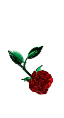 3d Red Rose Isolated Transparent Background Realistic Image
