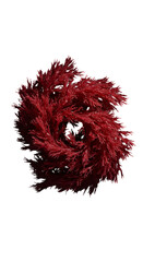 3D Red Spiral Plant Isolated PNG