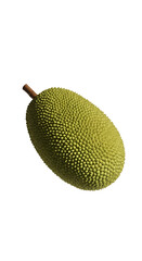 3D Render Isolated Jackfruit With Black Background