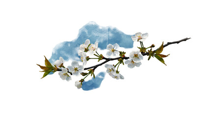 Isolated Cherry Blossom Branch with Blue Frost Realistic