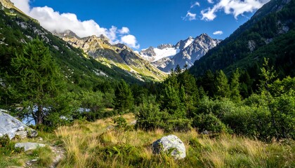 Scenic view of a mountainous valley, lush forest and sky