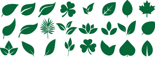 A vector illustration set of green leaves, grass, and foliage icons for natural summer and spring floral design patterns