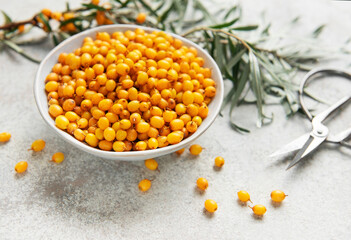 Sea buckthorn berries in bowl ready for harvest