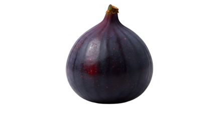 Isolated Fig Fruit with Water Droplets Studio Lighting