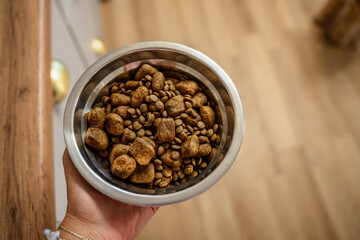 A man holds a bowl of dry food in front of a curly brown dog in the kitchen