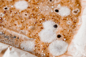 Detailed macro of multicolored mold growing on spoiled fruit puree. Symbol of decay, microbiology, and natural processes.