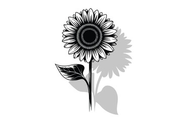 Striking black and white line art sunflower illustration vector scalable eps icon vector
