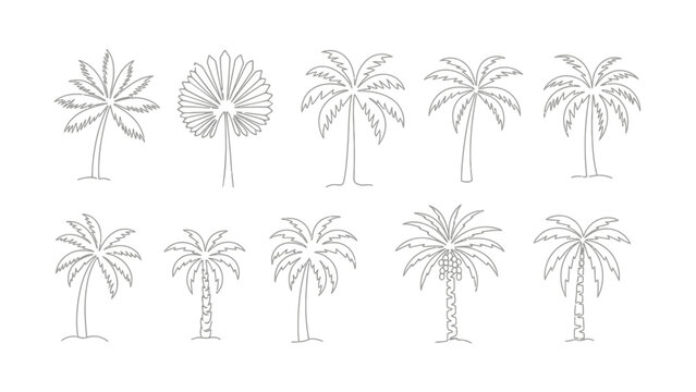 Hand-drawn doodle set of various palm tree vector icons in thin line art style for tropical summer and vacation designs
