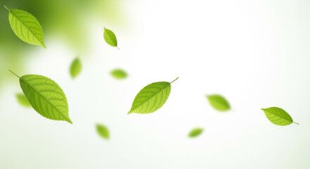 Floating green leaves against a soft, blurred, light-green and white background.