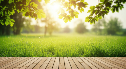 Bright, sunlit meadow with green grass and trees seen from a wooden deck under leafy branches.