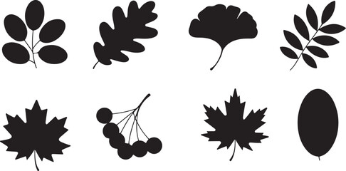 Foliage Silhouettes Variety Leaves Nature Plants Botany Flora Herb Silhouette Elements