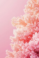 Soft textured pink coral on pastel background perfect for cosmetic branding marine visuals and organic product mockups