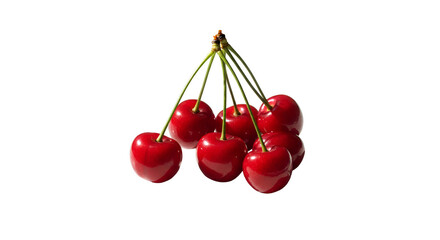 Isolated Photo Bunch of Cherries With Stems Red Fruit