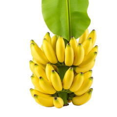 Isolated Photo Bunch Of Yellow Bananas With Green Leaf