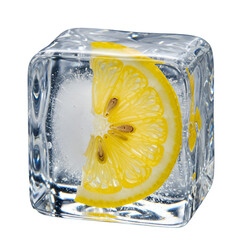 Isolated Photo Citrus Slice Frozen In Ice Cube With Bubbles