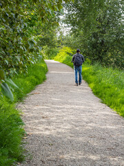 Walking path in a forest park with green trees, a man with backpack walking along the forest trail.