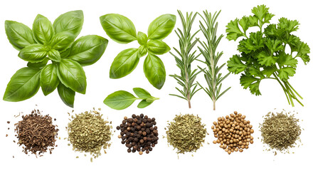 Isolated Photo Fresh Basil Rosemary Parsley Herbs And Spices