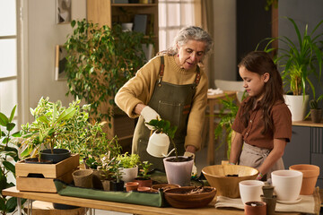 Senior Caucasian woman watering potted plant while standing beside young Caucasian girl at table with various houseplants and gardening tools indoors