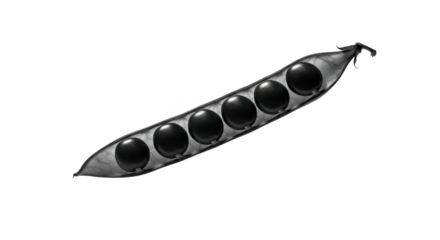 Isolated Photo Macro of Black Pea Pod with Six Peas Detailed Texture