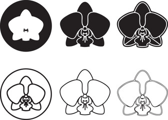 Elegant orchid flower designs in black and white on transparent background silhouette