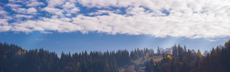bright autumn in the mountains, trees of yellow and orange colors