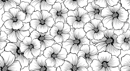 Seamless Patterrn Floral Illustration Botany